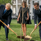 Image for article titled FRIENDSHIP TREE IS DEAD; RIP FRIENDSHIP